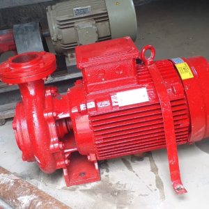 Lubi Raw Water Pumps