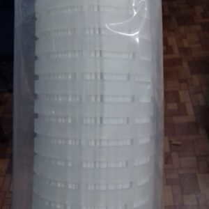 Pleated Cartridge 0.2 Micron